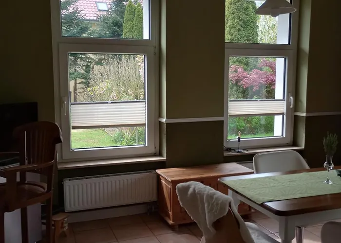 Amber Logia * Lubmin