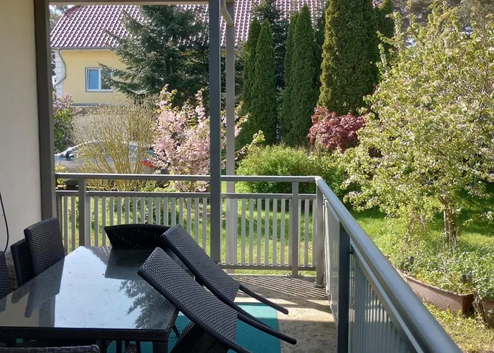 Daire Amber Logia Lubmin